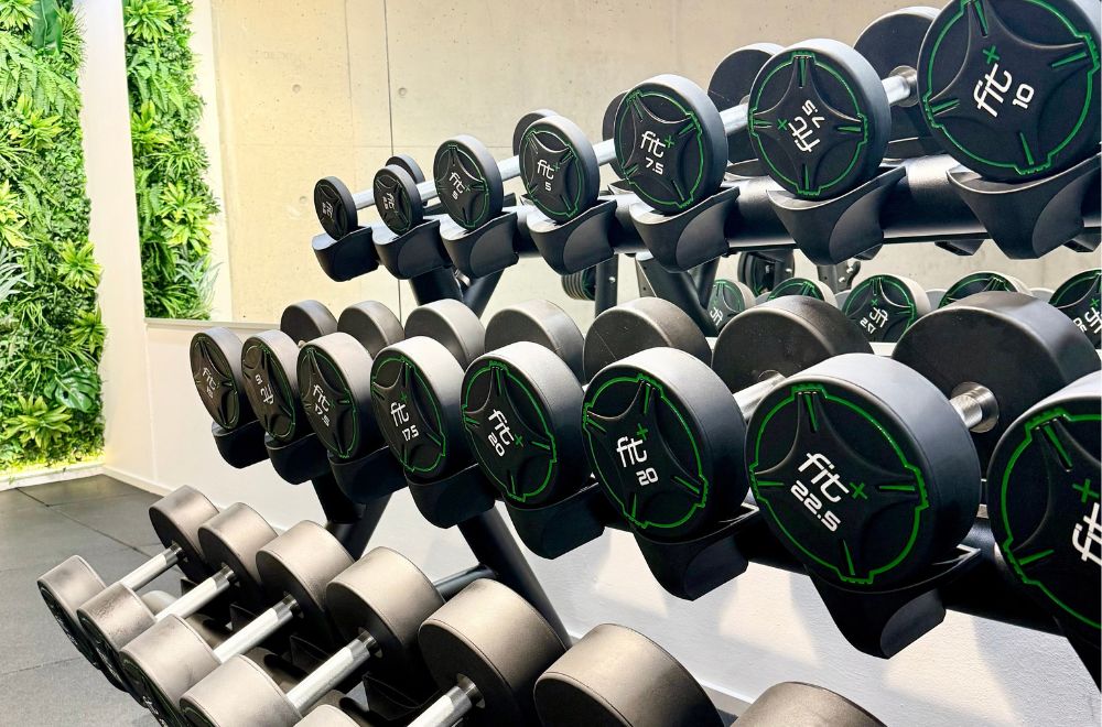 fitnessstudio-fitplus-obernburg-freihanteln